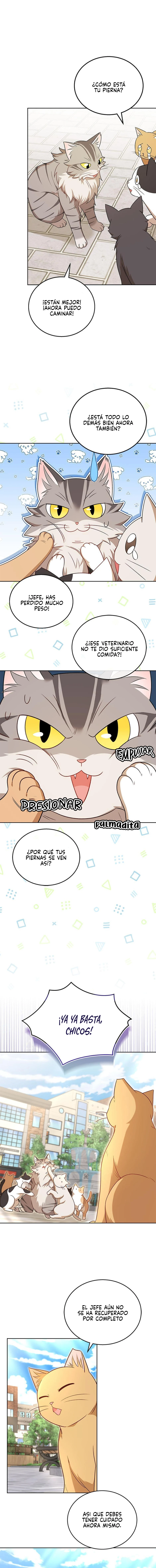 9 Veterinario Hola