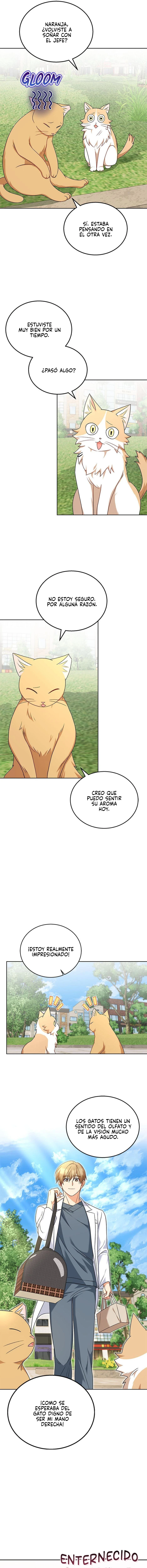7 Veterinario Hola