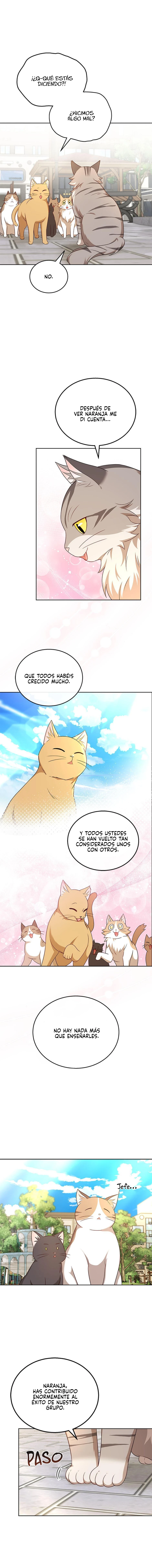 12 Veterinario Hola