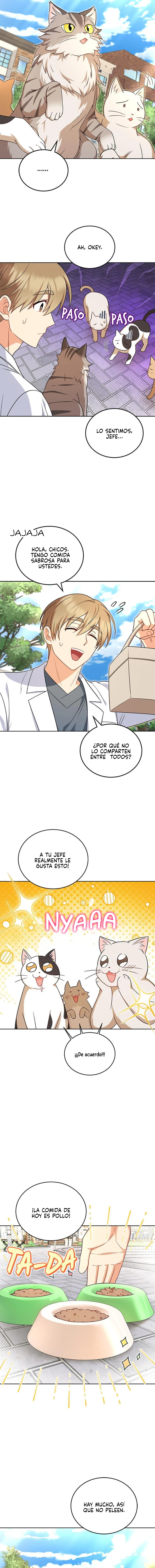 10 Veterinario Hola