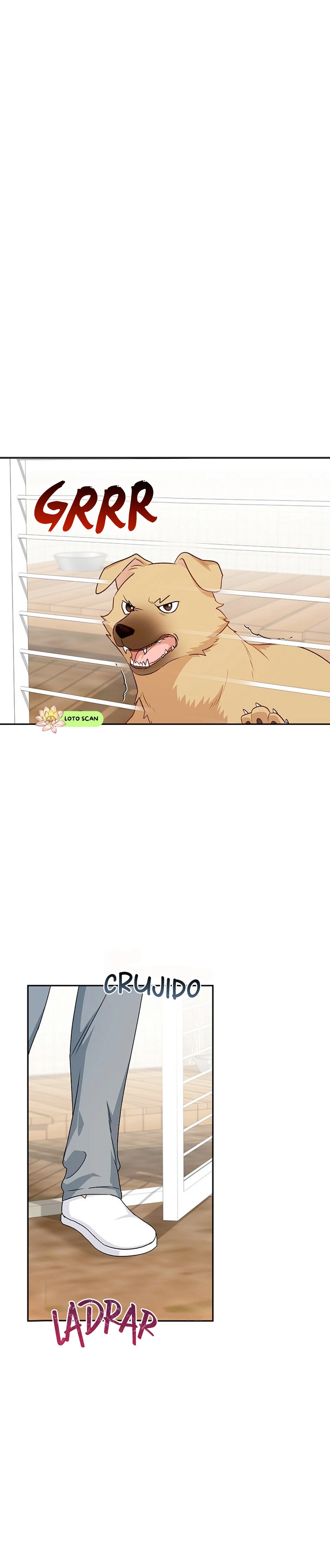 1 Veterinario Hola