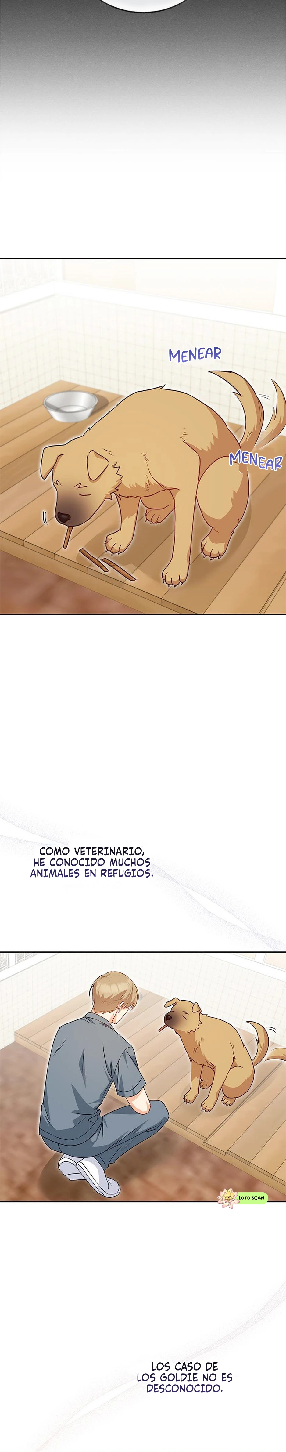 14 Veterinario Hola