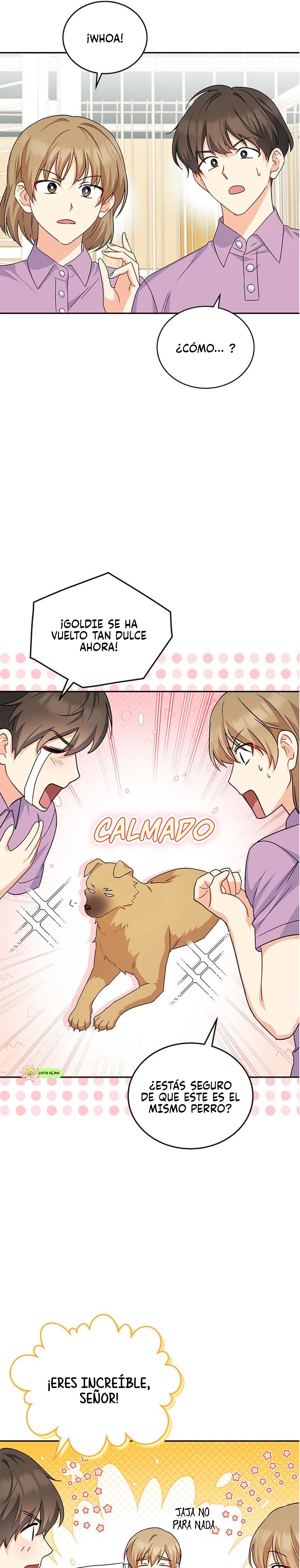 17 Veterinario Hola