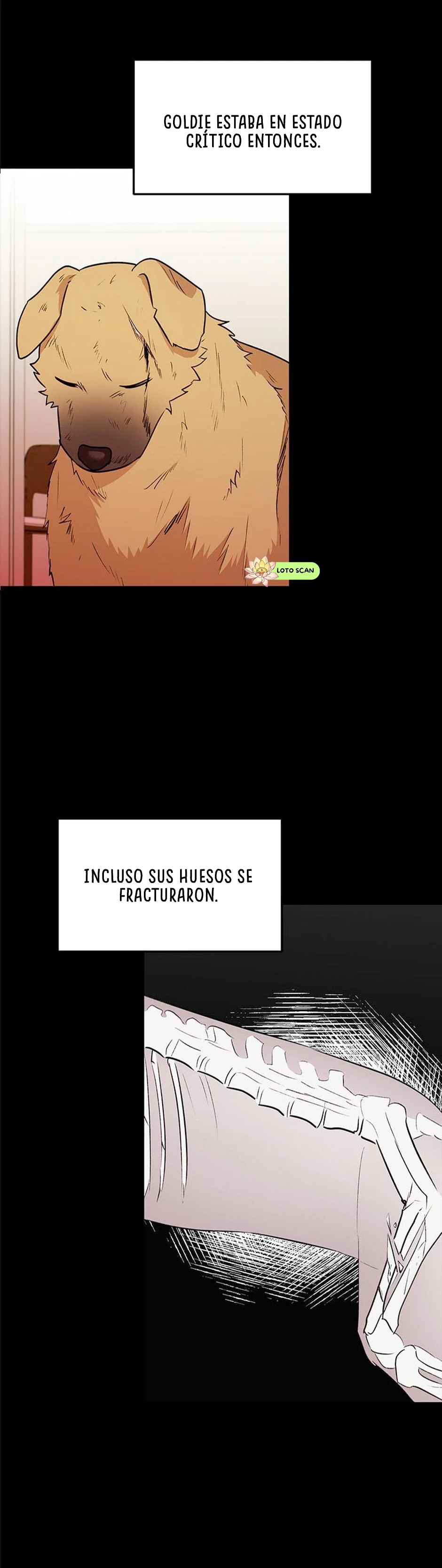 14 Veterinario Hola