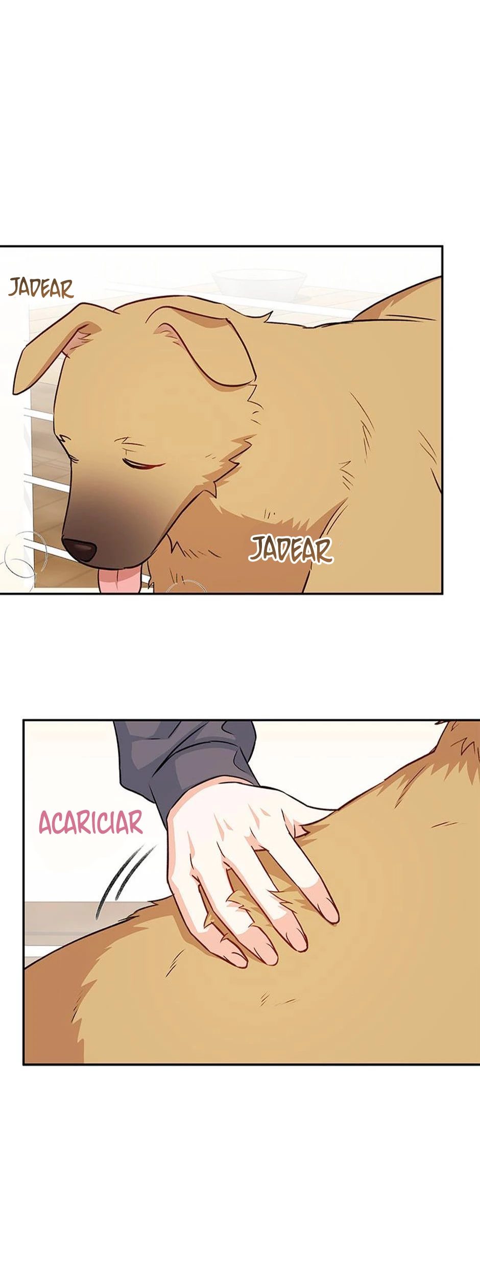 36 Veterinario Hola