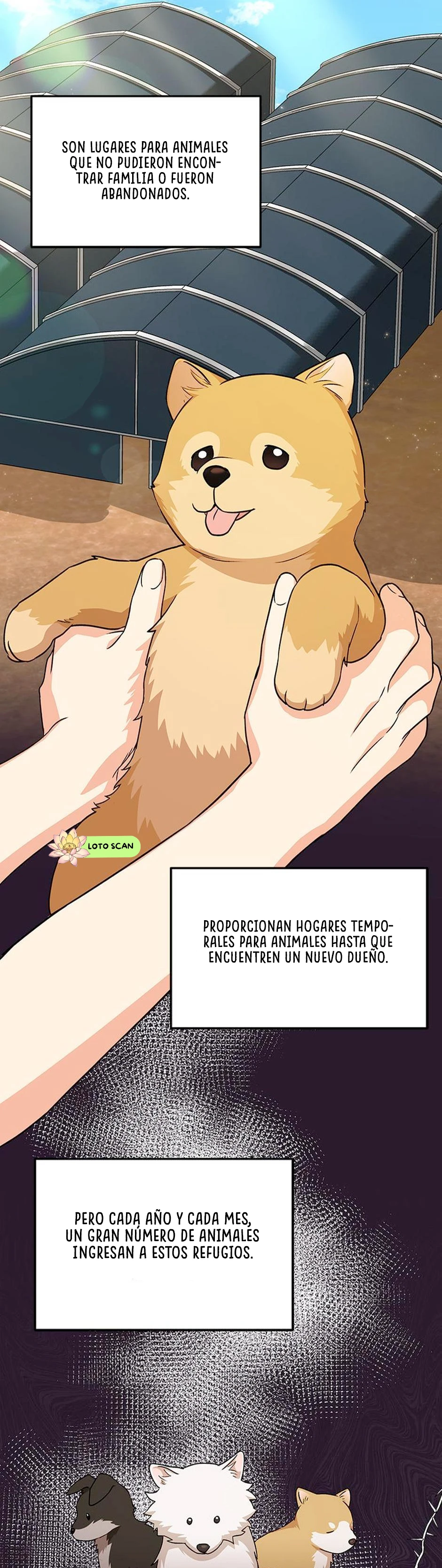 20 Veterinario Hola
