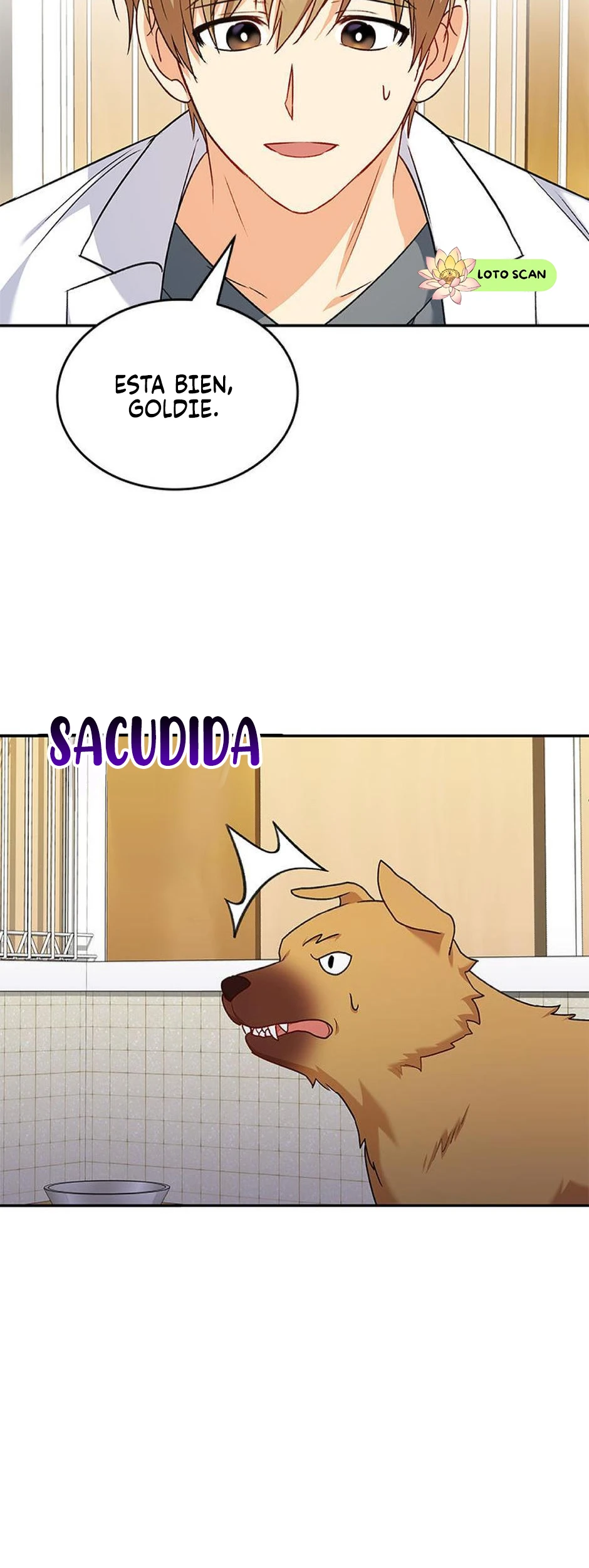 44 Veterinario Hola