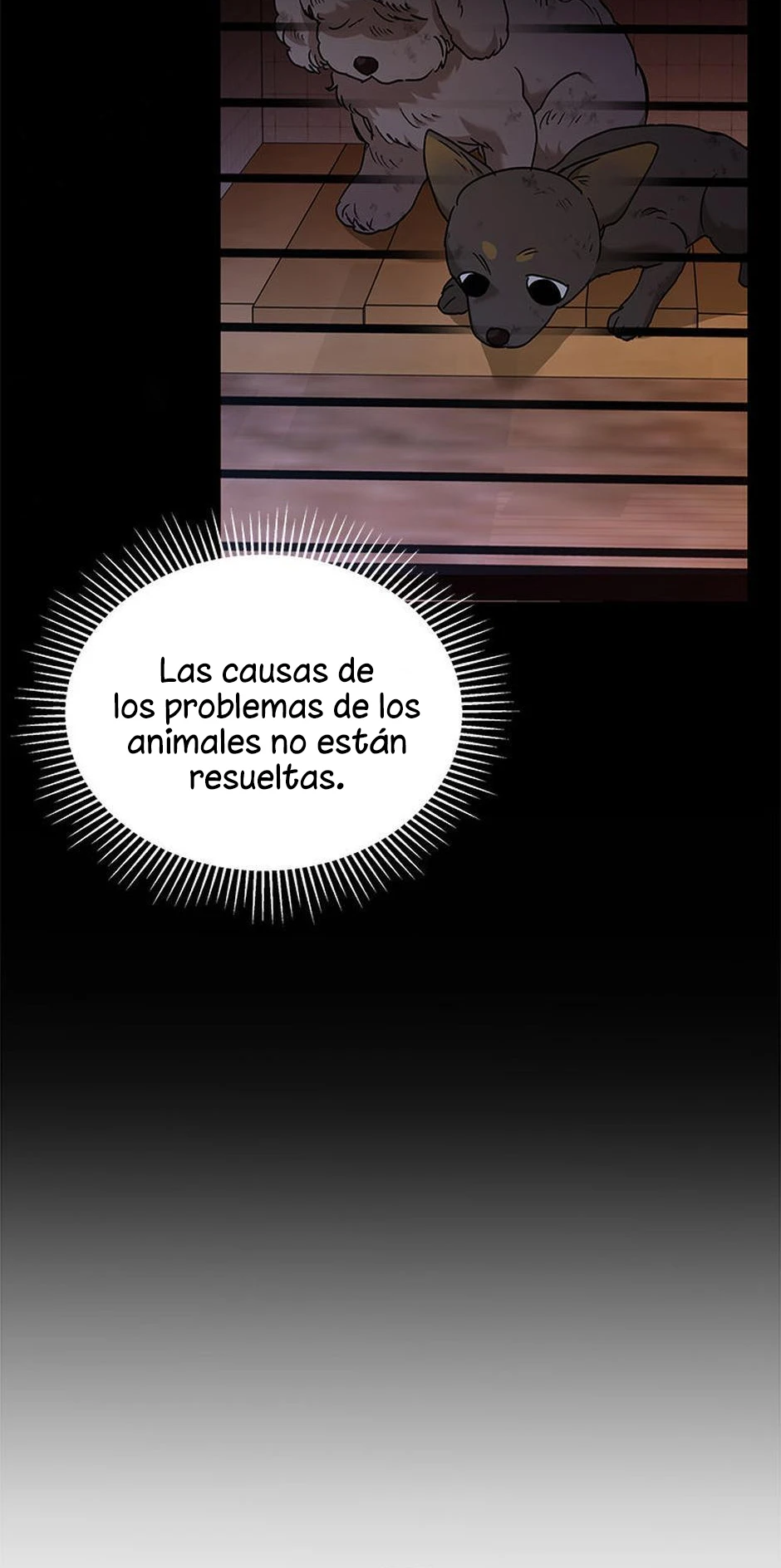 23 Veterinario Hola