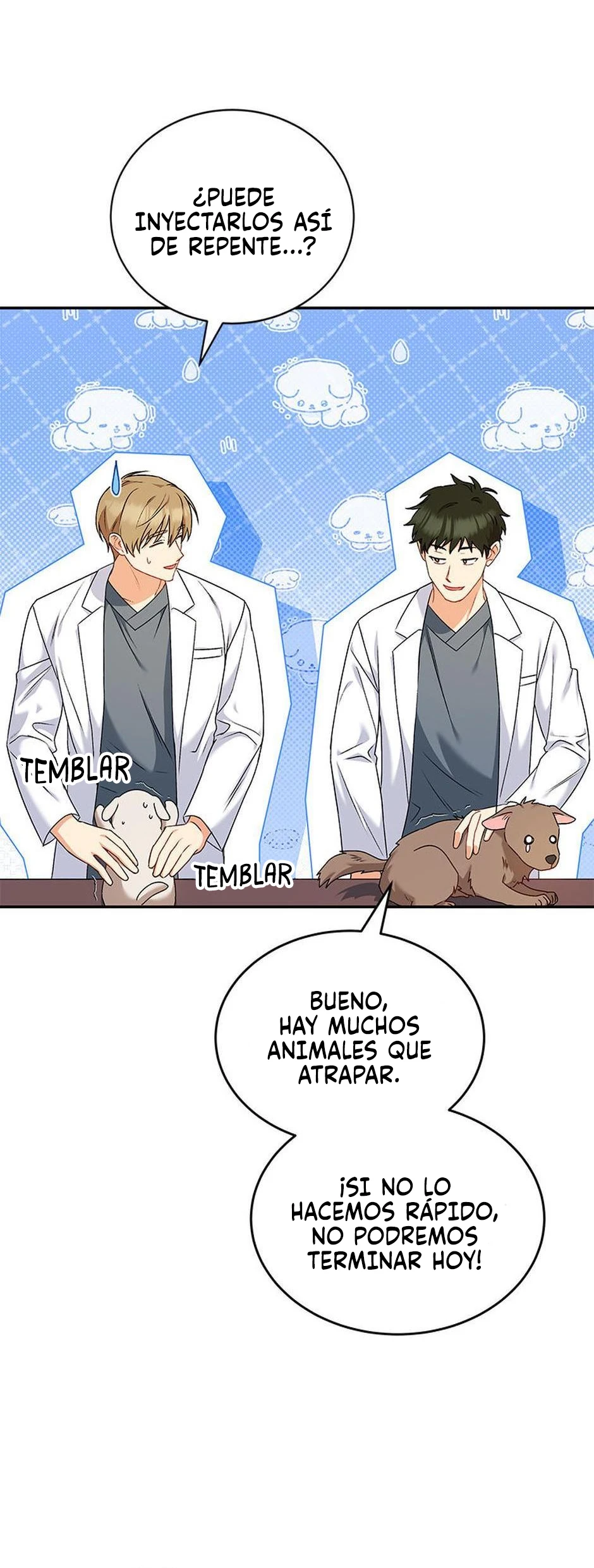 33 Veterinario Hola