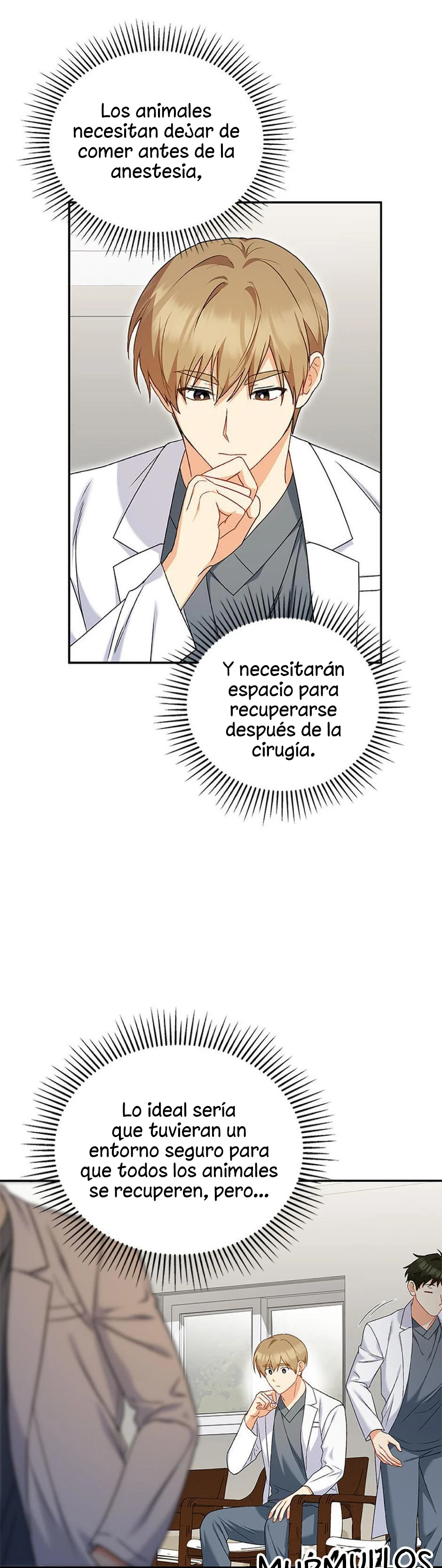 27 Veterinario Hola