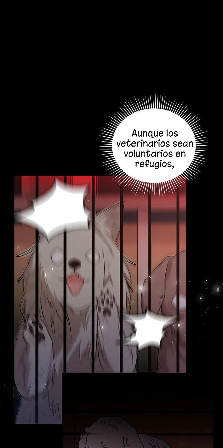 22 Veterinario Hola