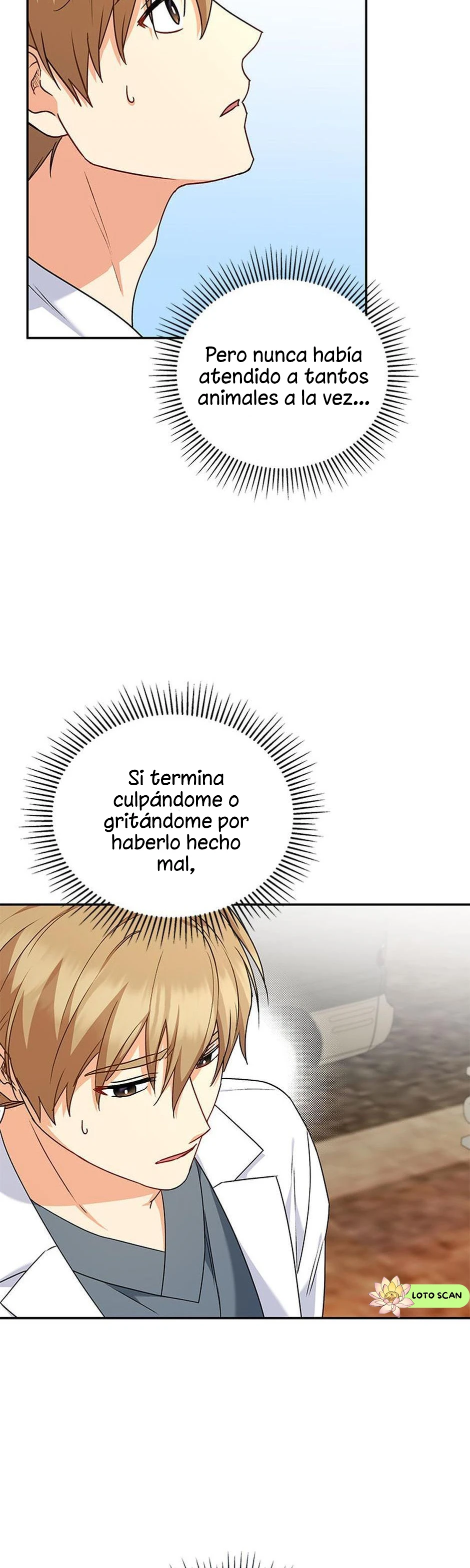 8 Veterinario Hola