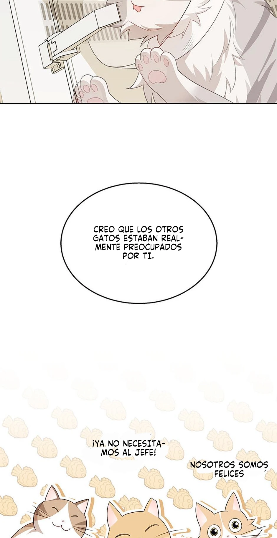 12 Veterinario Hola