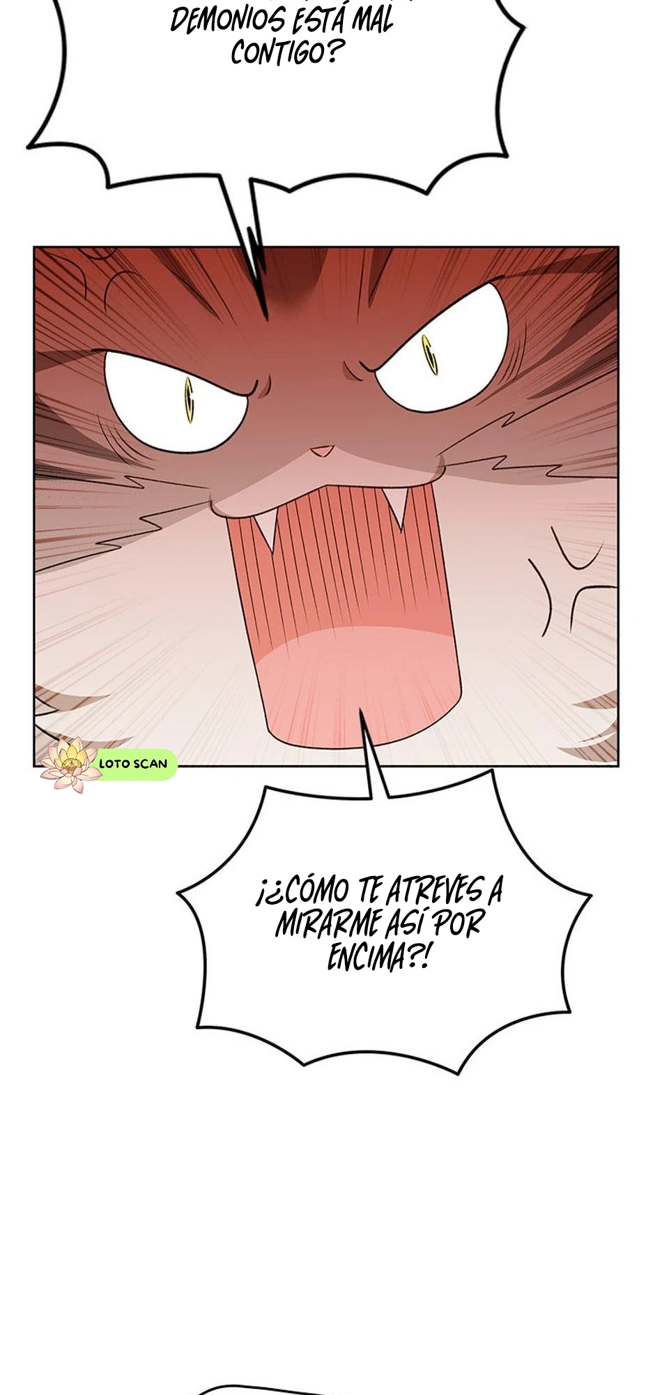 23 Veterinario Hola