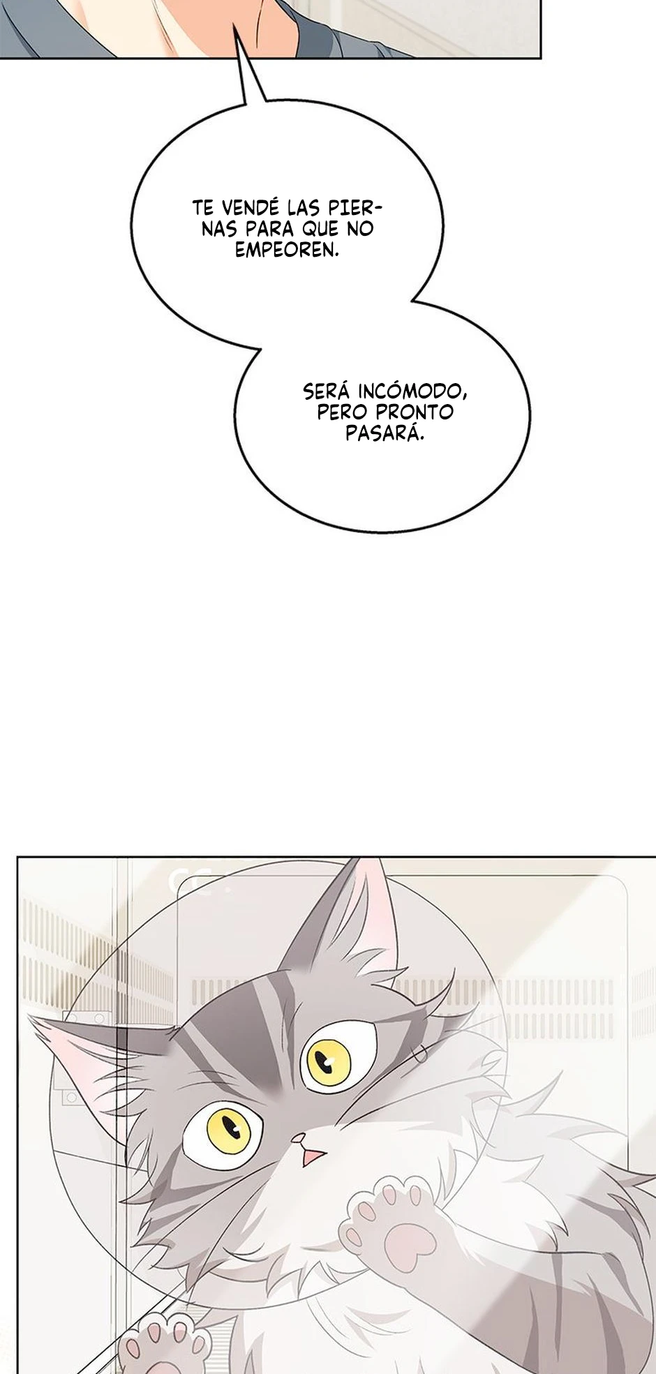 3 Veterinario Hola