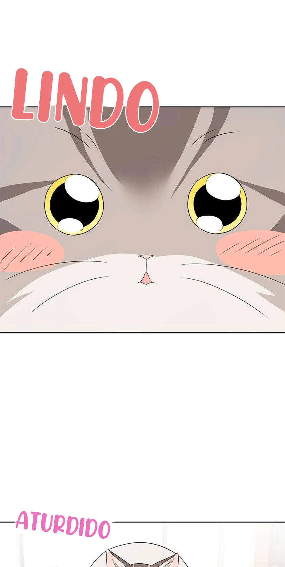 38 Veterinario Hola