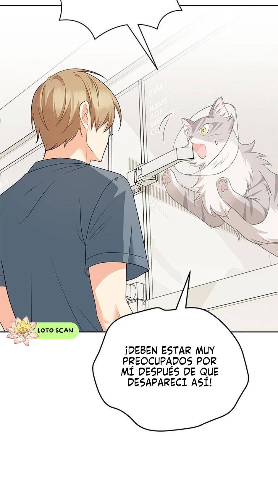 7 Veterinario Hola
