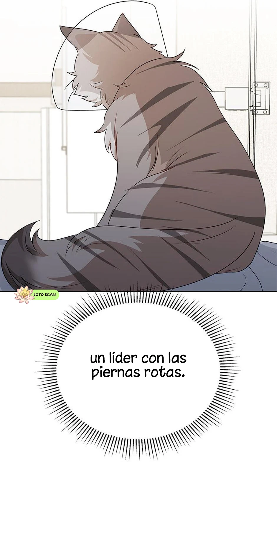 16 Veterinario Hola
