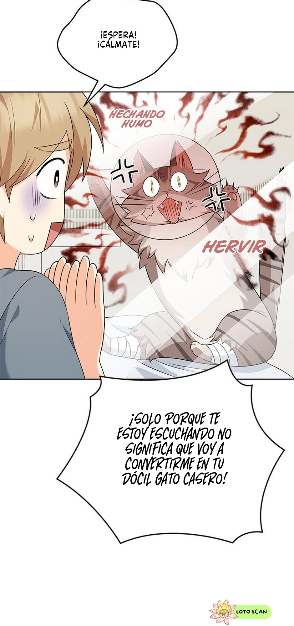 24 Veterinario Hola