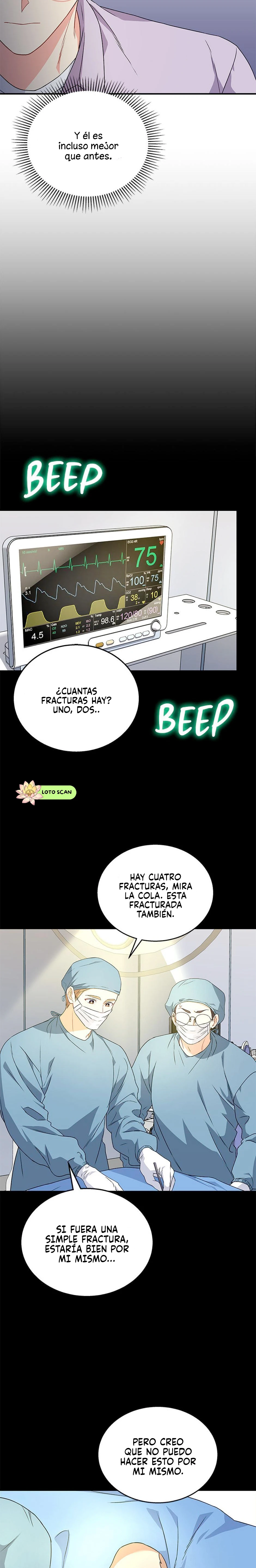 8 Veterinario Hola