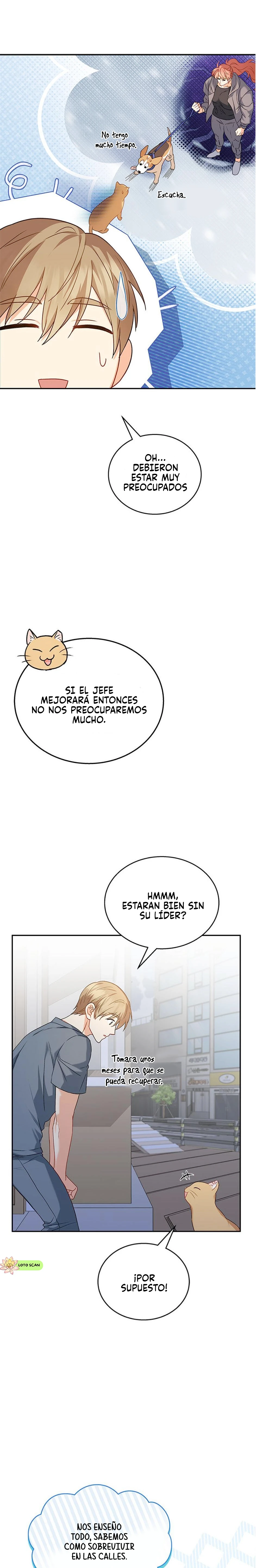 16 Veterinario Hola