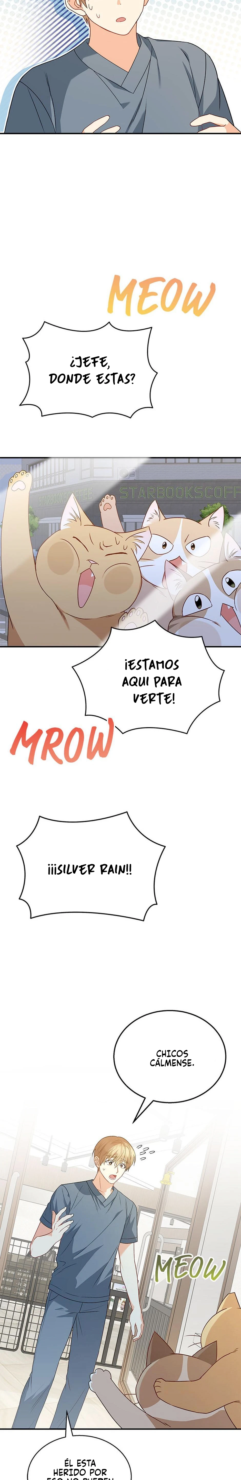 13 Veterinario Hola