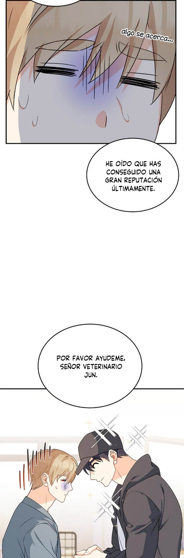 36 Veterinario Hola