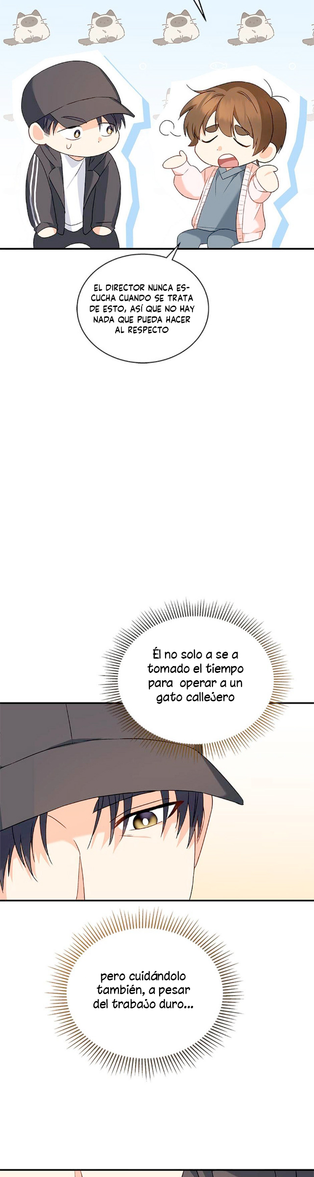 24 Veterinario Hola