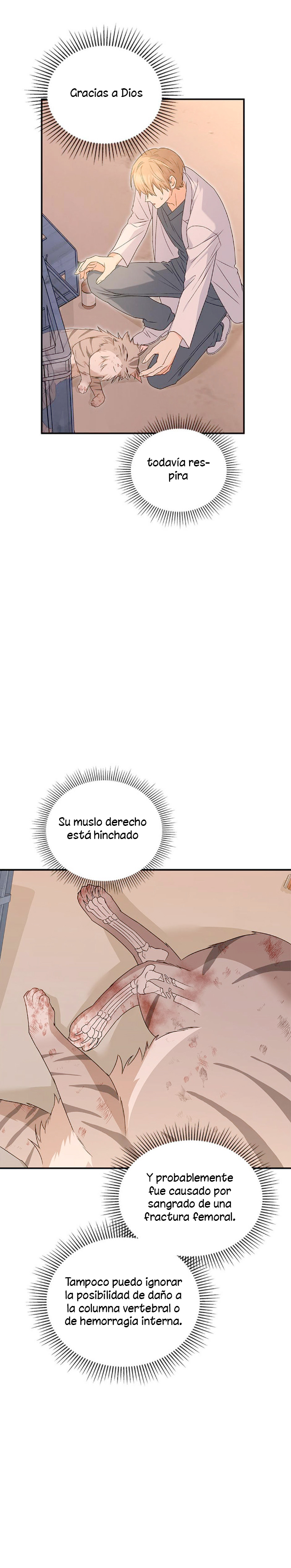 4 Veterinario Hola