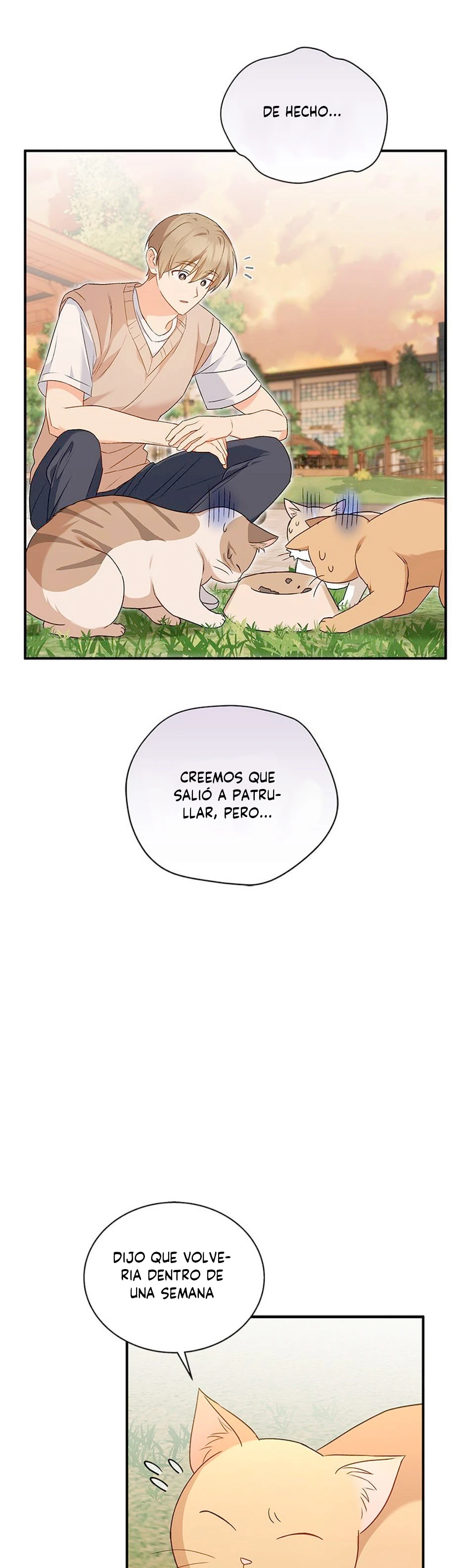 26 Veterinario Hola