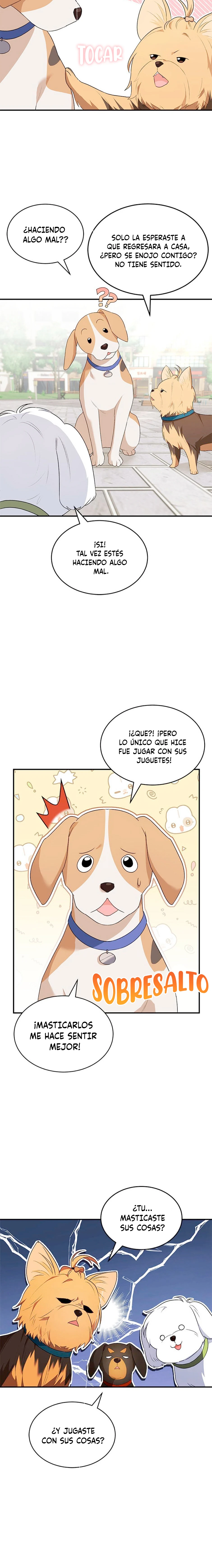 10 Veterinario Hola