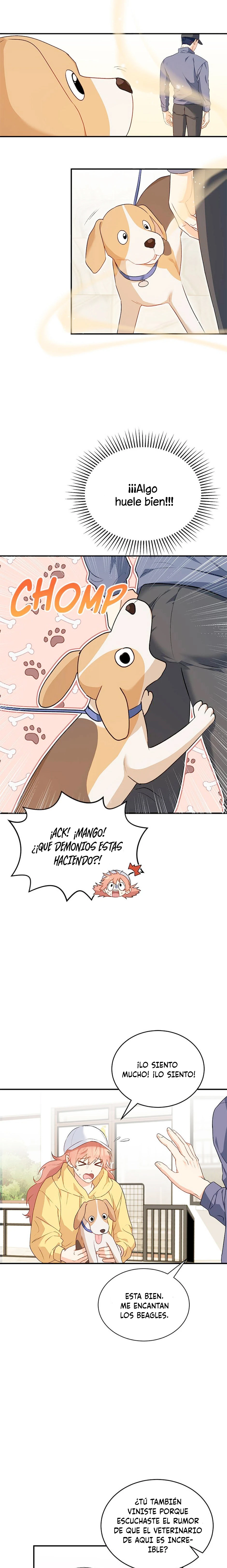 19 Veterinario Hola