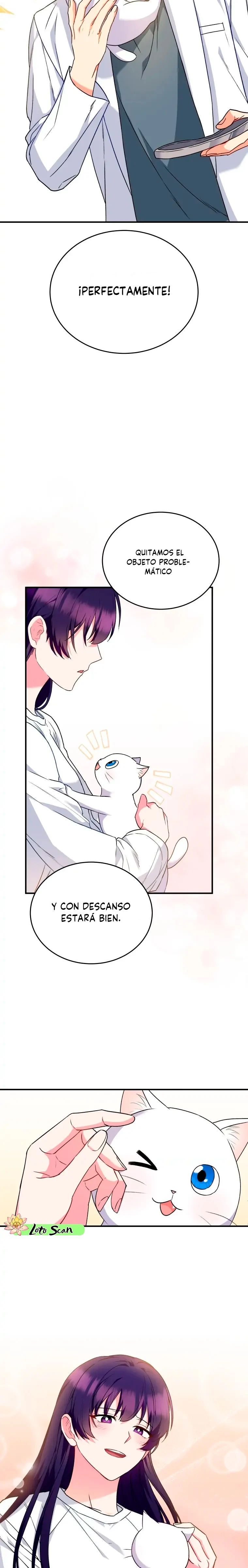19 Veterinario Hola