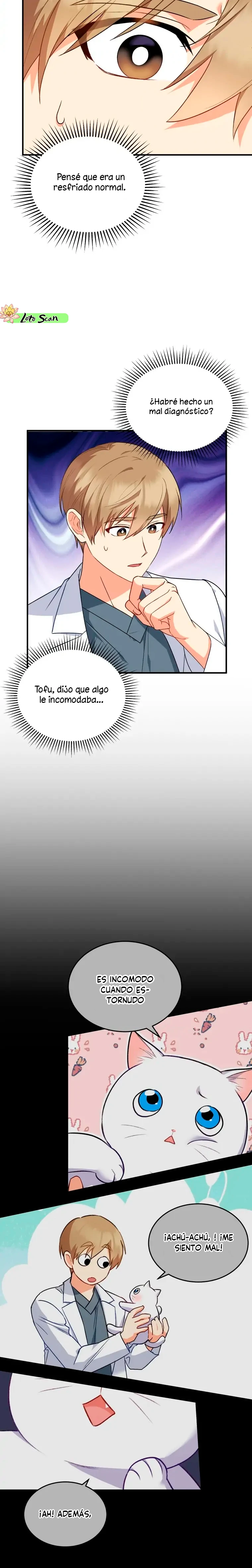 6 Veterinario Hola