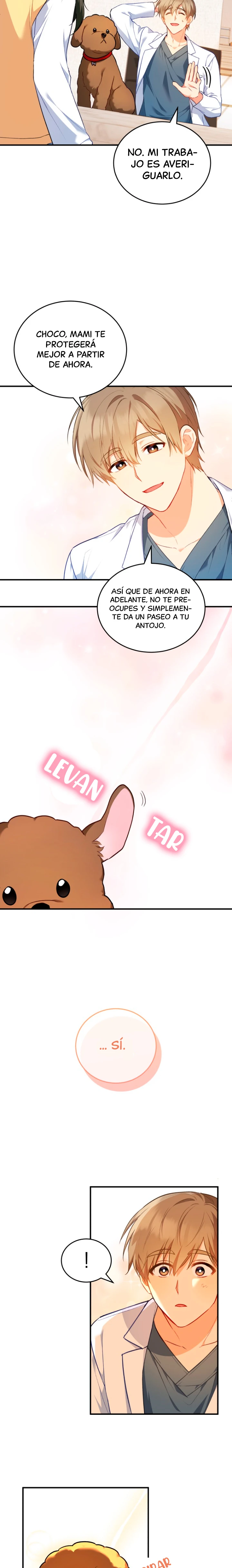 16 Veterinario Hola