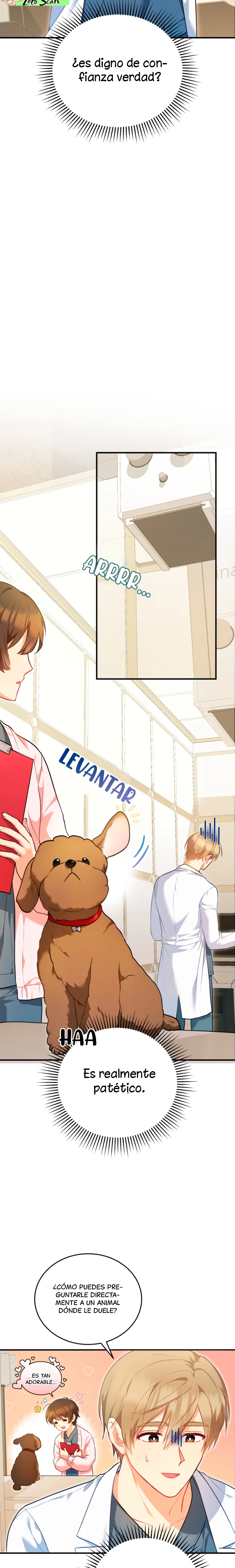 5 Veterinario Hola