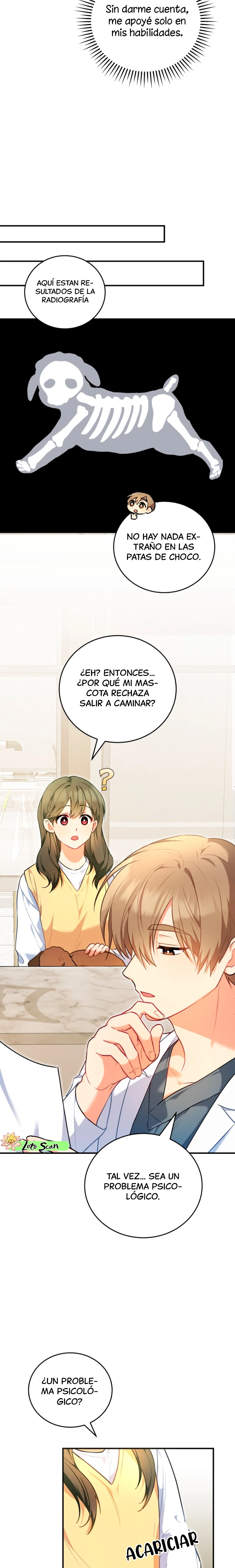 6 Veterinario Hola