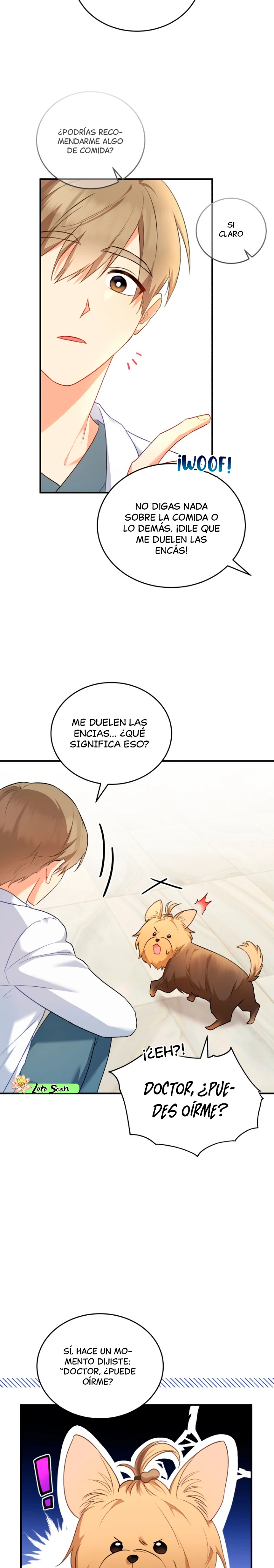 17 Veterinario Hola