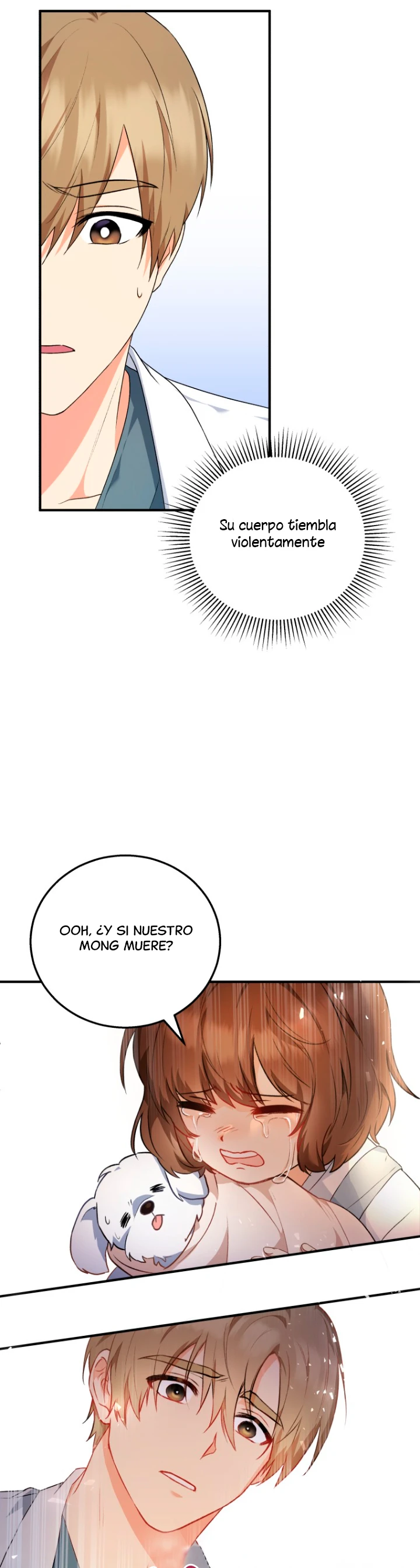 28 Veterinario Hola
