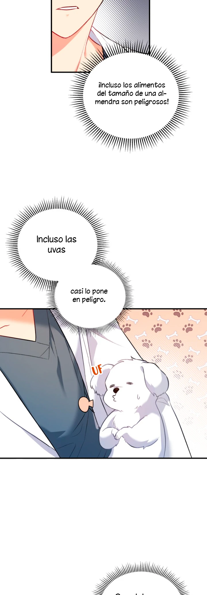 41 Veterinario Hola