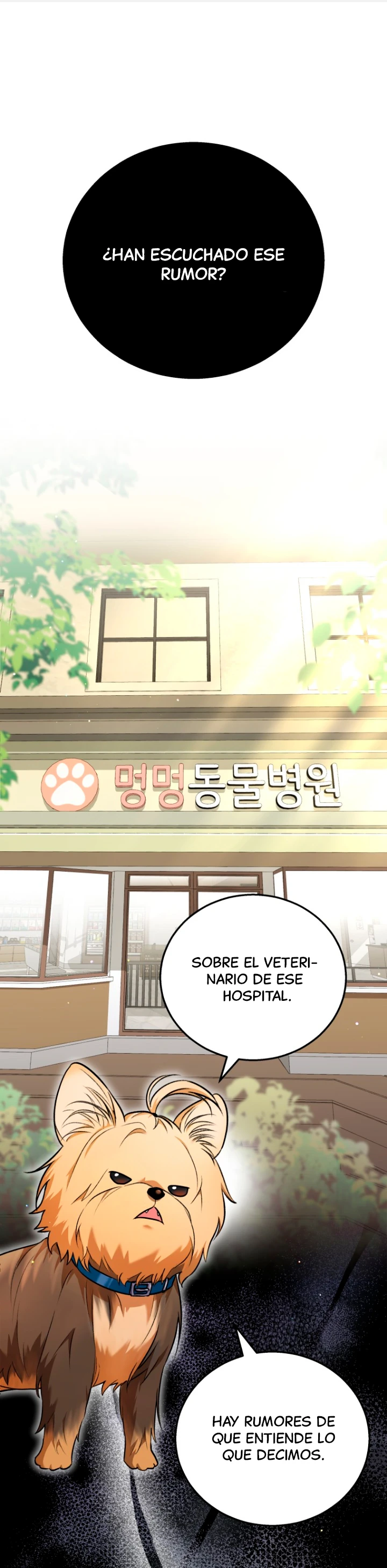 1 Veterinario Hola