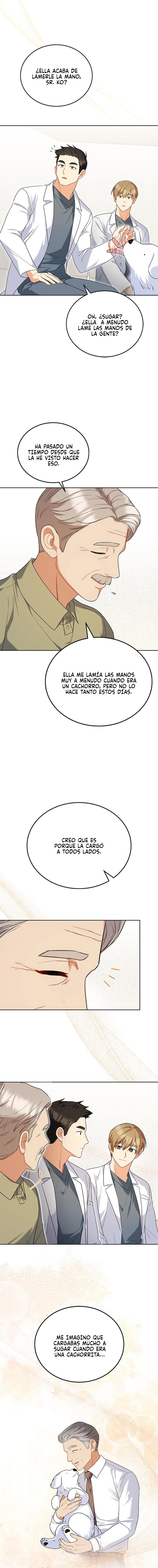 15 Veterinario Hola