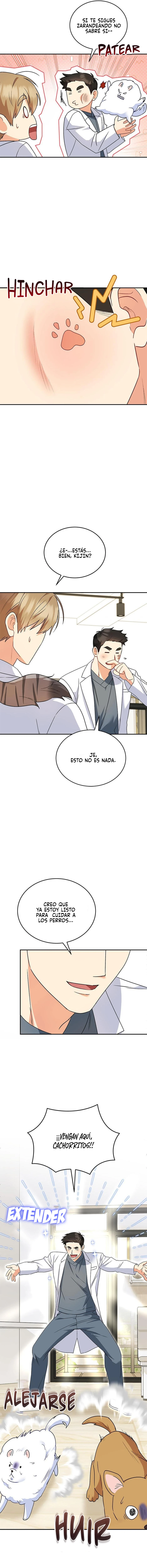 15 Veterinario Hola