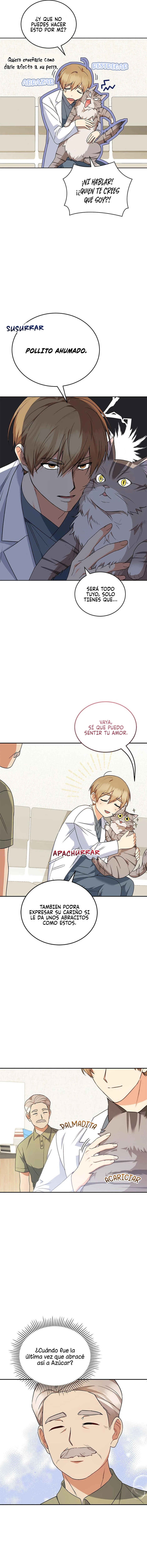 7 Veterinario Hola