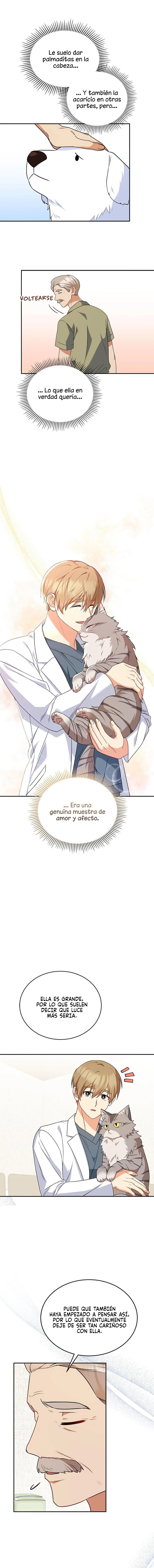 8 Veterinario Hola