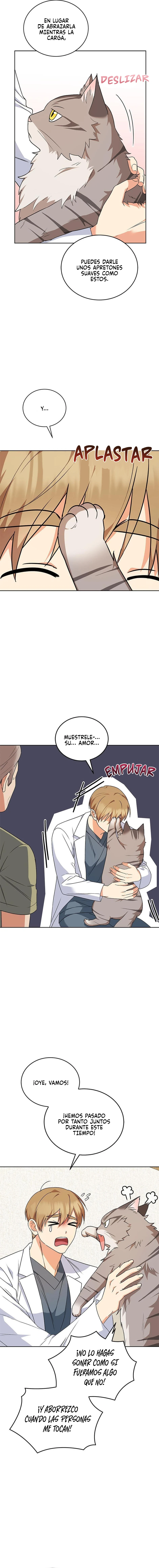 6 Veterinario Hola