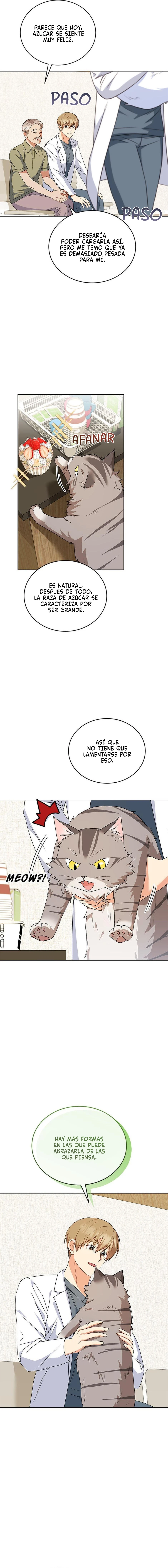 5 Veterinario Hola