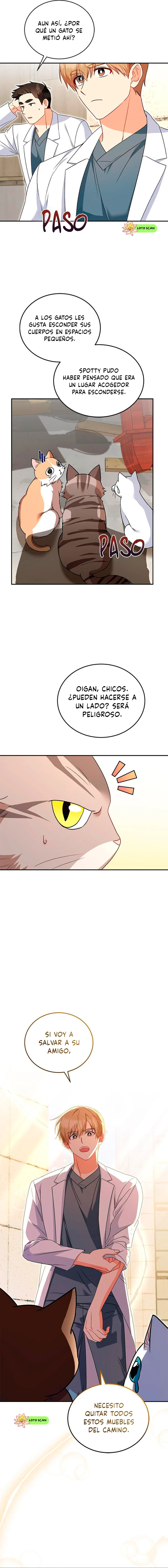 6 Veterinario Hola