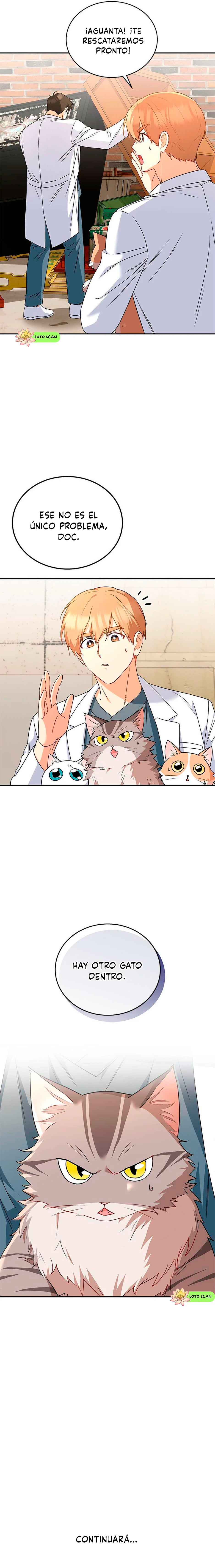 12 Veterinario Hola