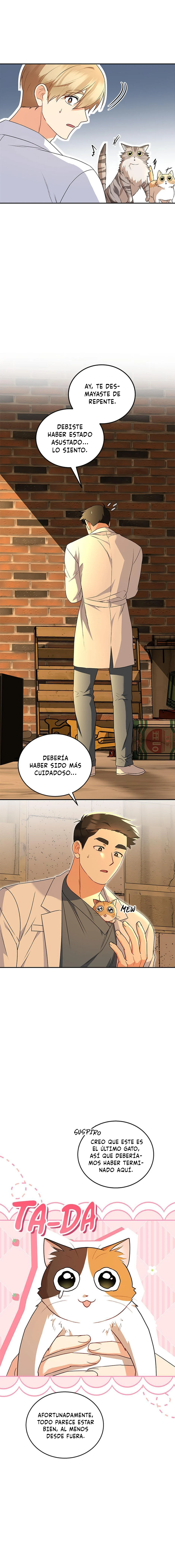 7 Veterinario Hola